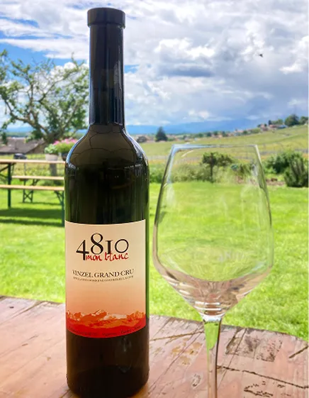 Chasselas